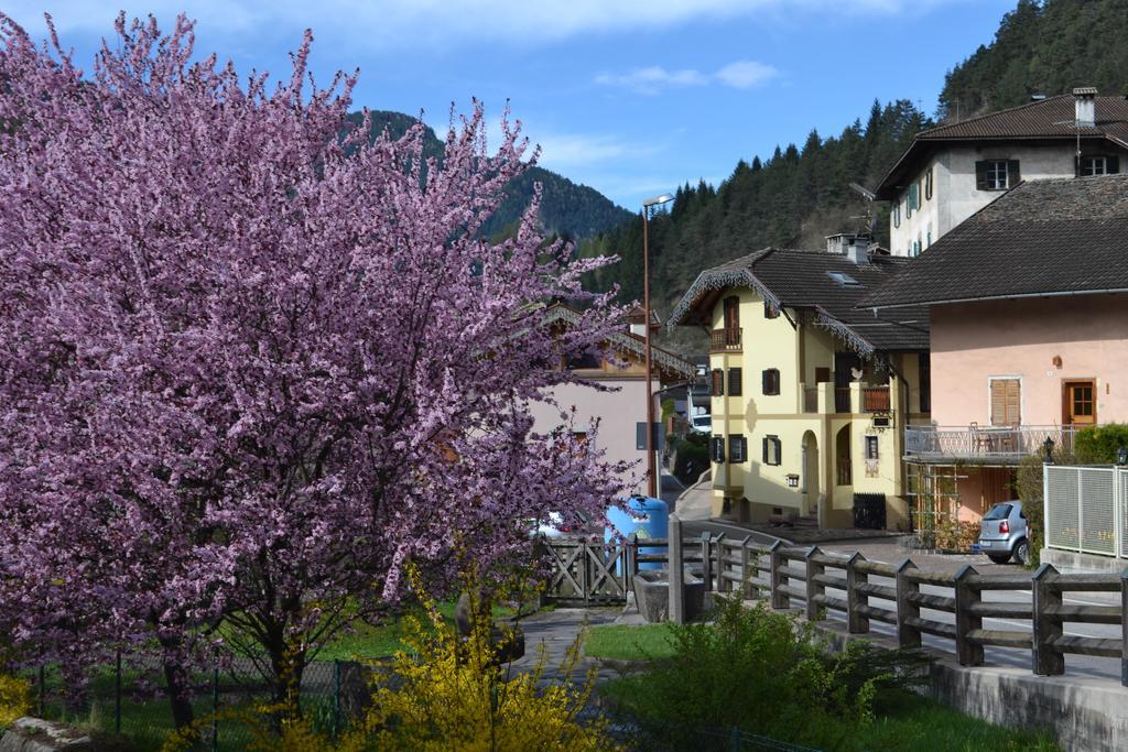 B&B La Tana Dell'Orso - Die Baerenhoehle 卡斯特罗迪费耶美 外观 照片